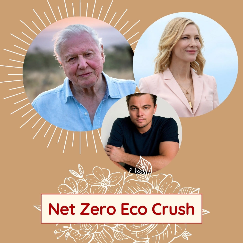 Net Zero Team Eco-Crush 😍 5 Inspiring Stars You Will Love