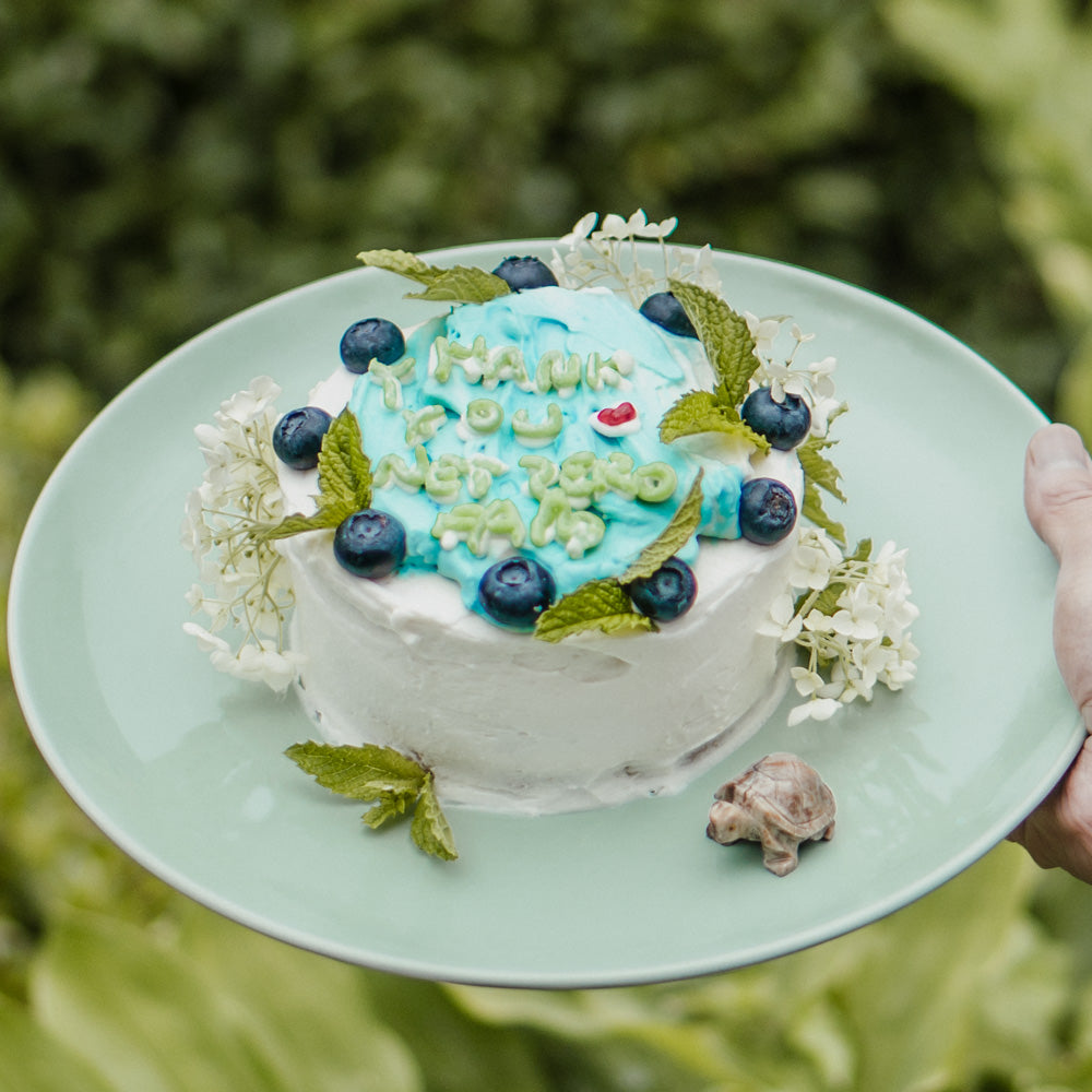 Thank you Net Zero Fam cake.