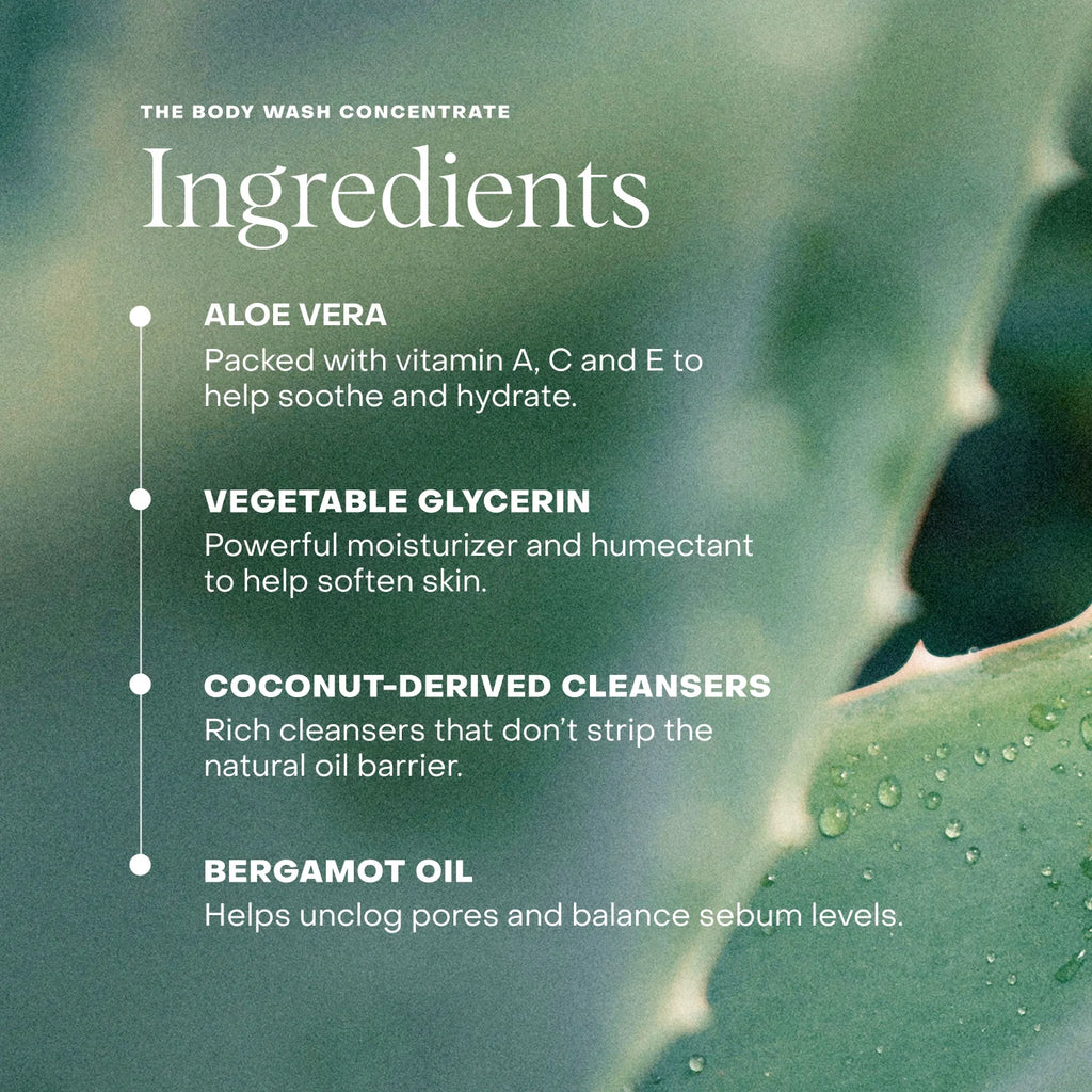 Everist Body Wash - The Concentrate Tube
