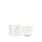 Candy Cane Mini Candles - Abbott