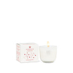 Candy Cane Mini Candles - Abbott