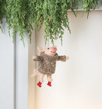 Skating Pig Ornament - Abbott