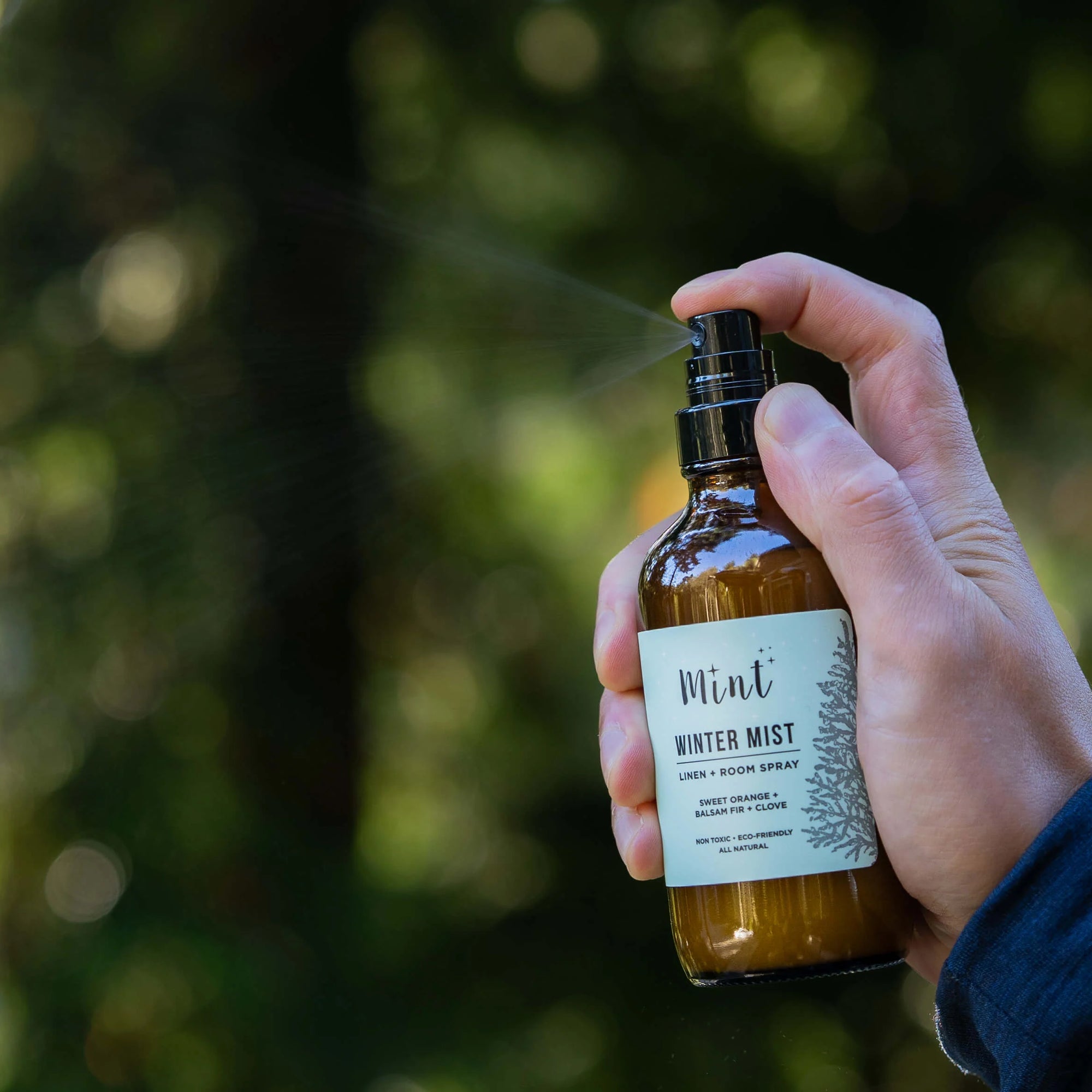 Mint Cleaning Winter Mist