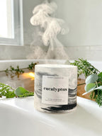 Eucalyptus - Moody Candles Co