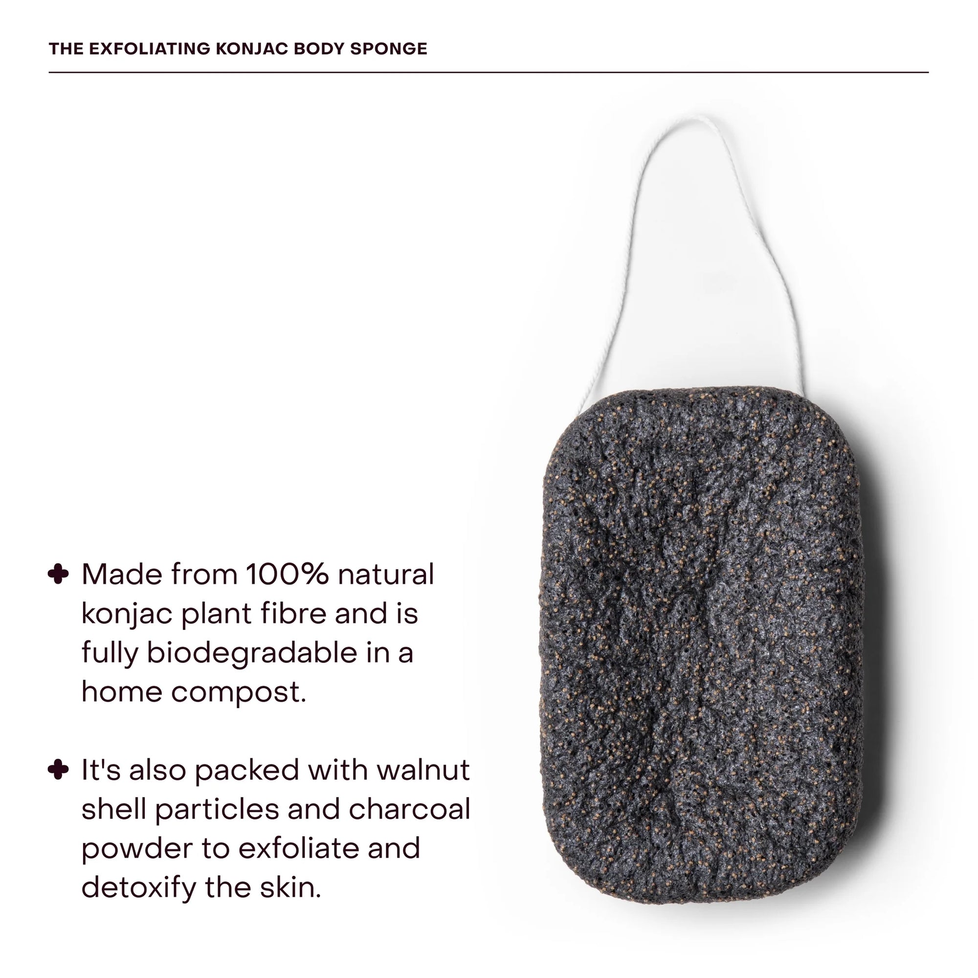 Everist Konjac Body Sponge - Exfoliating