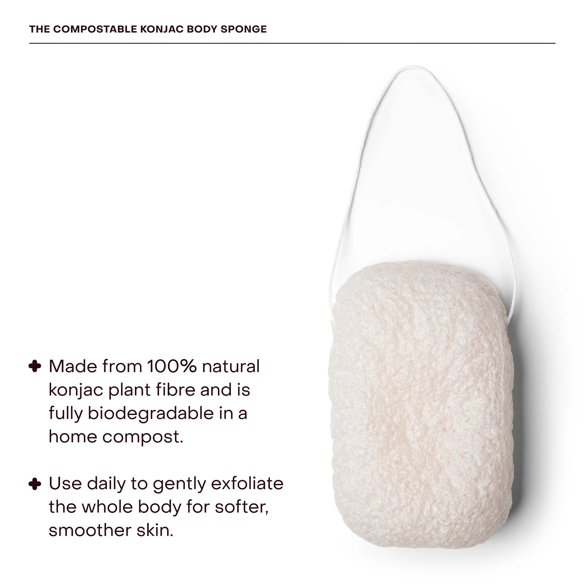 Everist Konjac Body Sponge - Compostable