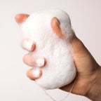 Everist Konjac Body Sponge - Compostable