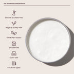 Everist Shampoo Concentrate - The Mini Travel Tin