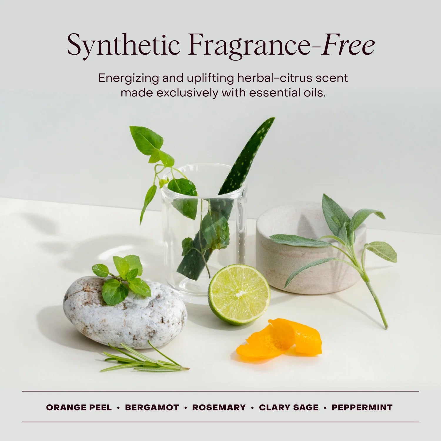 Everist Body Wash - The Concentrate Tube