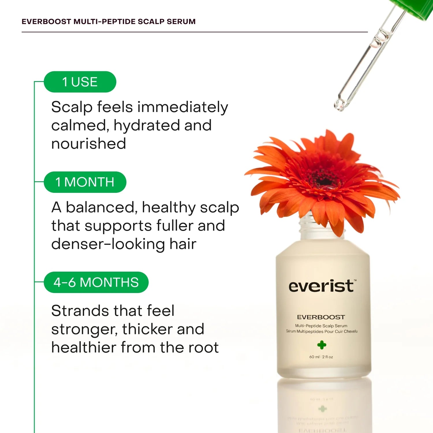 Everist Scalp Serum - Everboost for Dry & Brittle & Thinning Hair