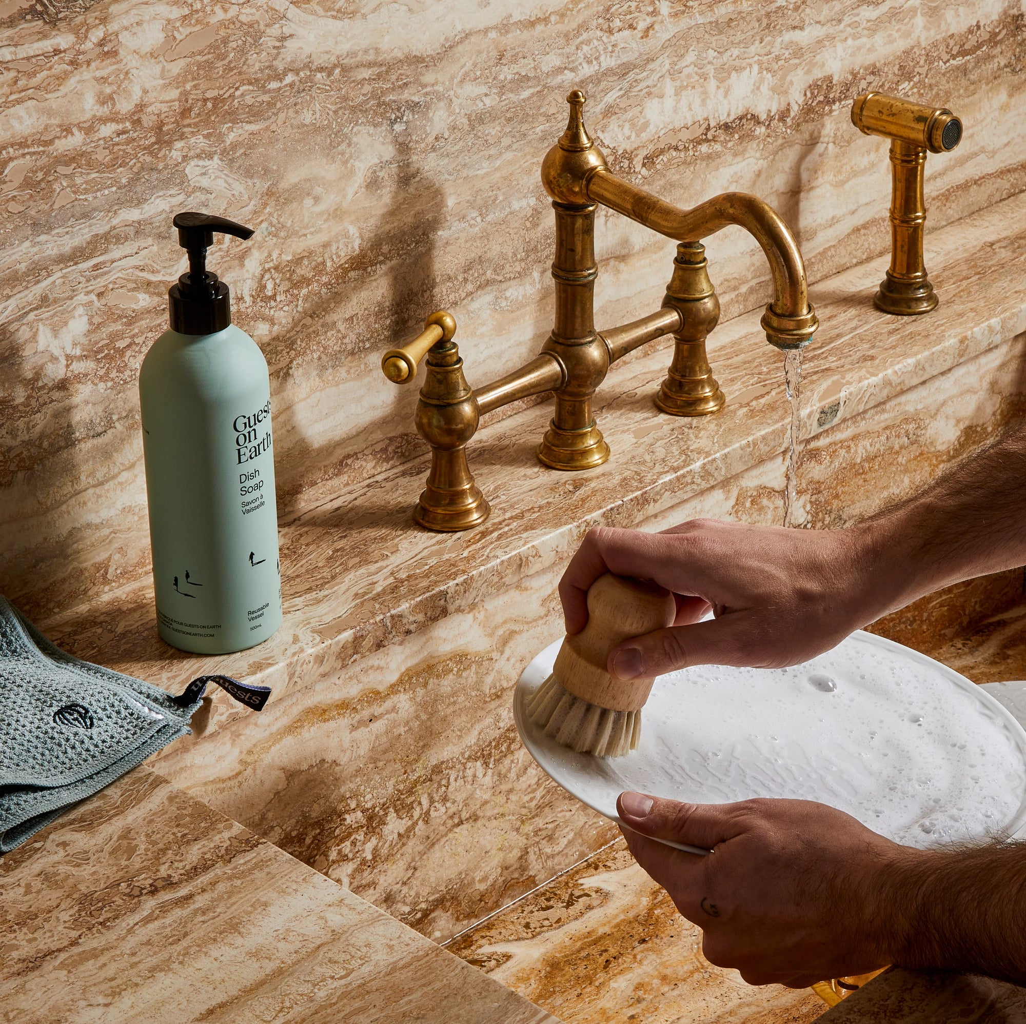 Guests on Earth - Dish Soap - Citrus Oasis