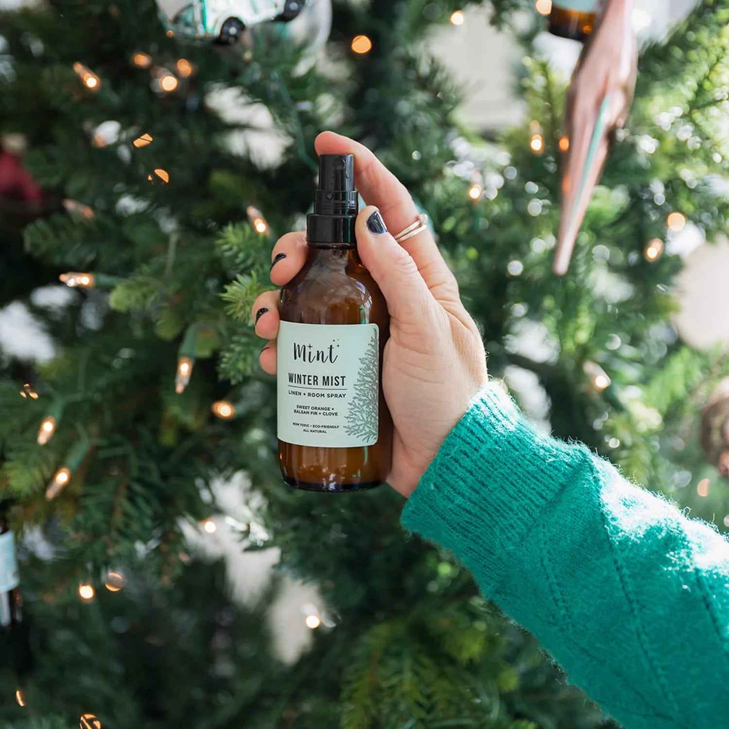 Mint Cleaning Winter Mist