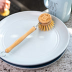 Bamboo Dishwashing Brush with Handle