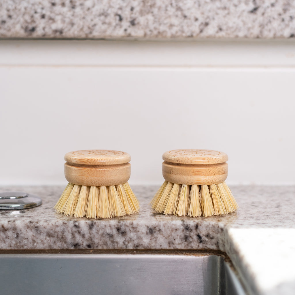 Refill Head Brush - 2 Pack