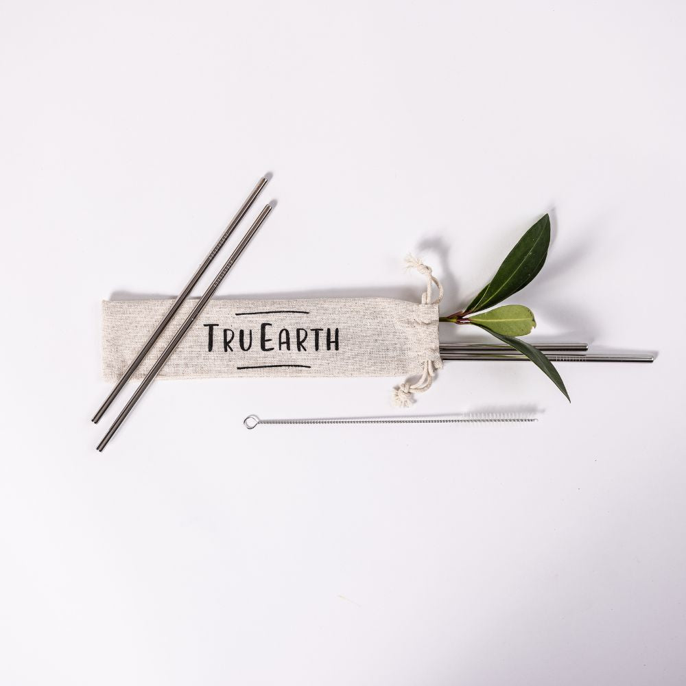 Tru Earth Stainless Steel Straws - 4 Pack