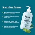 Mint Cleaning -  Natural Conditioner