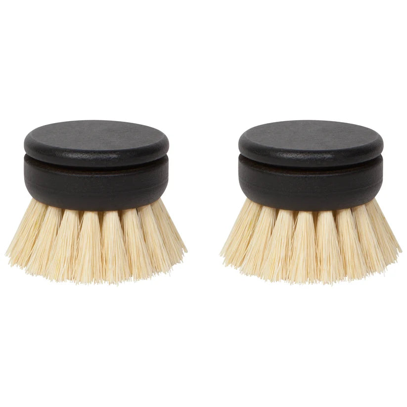 Refill Head Brush - 2 Pack Black