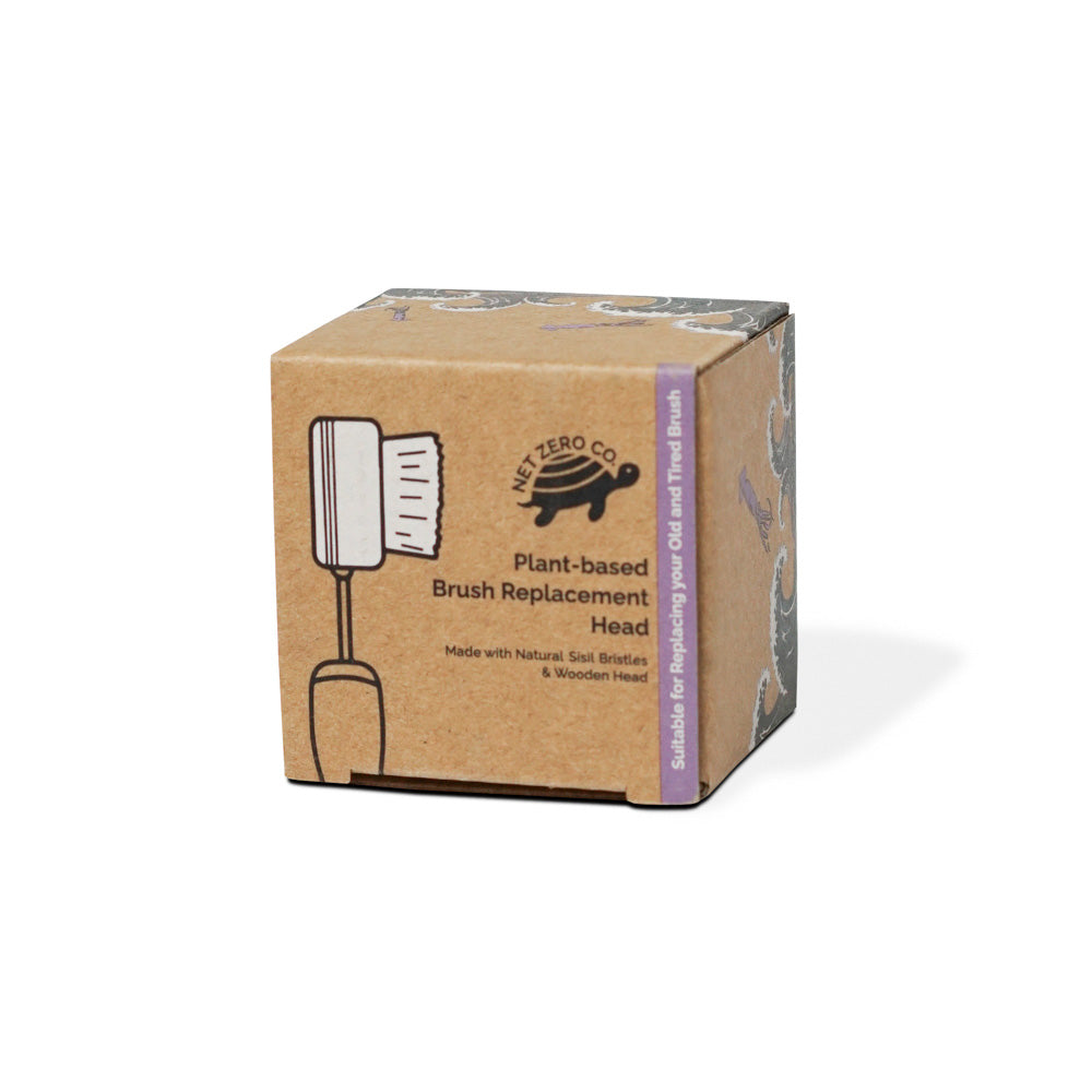 Dish Brush Replacement Head With Zero Waste Compostable Packaging