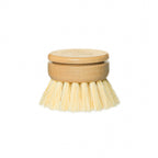 Dish Brush Replacement Head Only In White Background