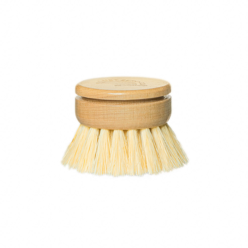 Dish Brush Replacement Head Only In White Background