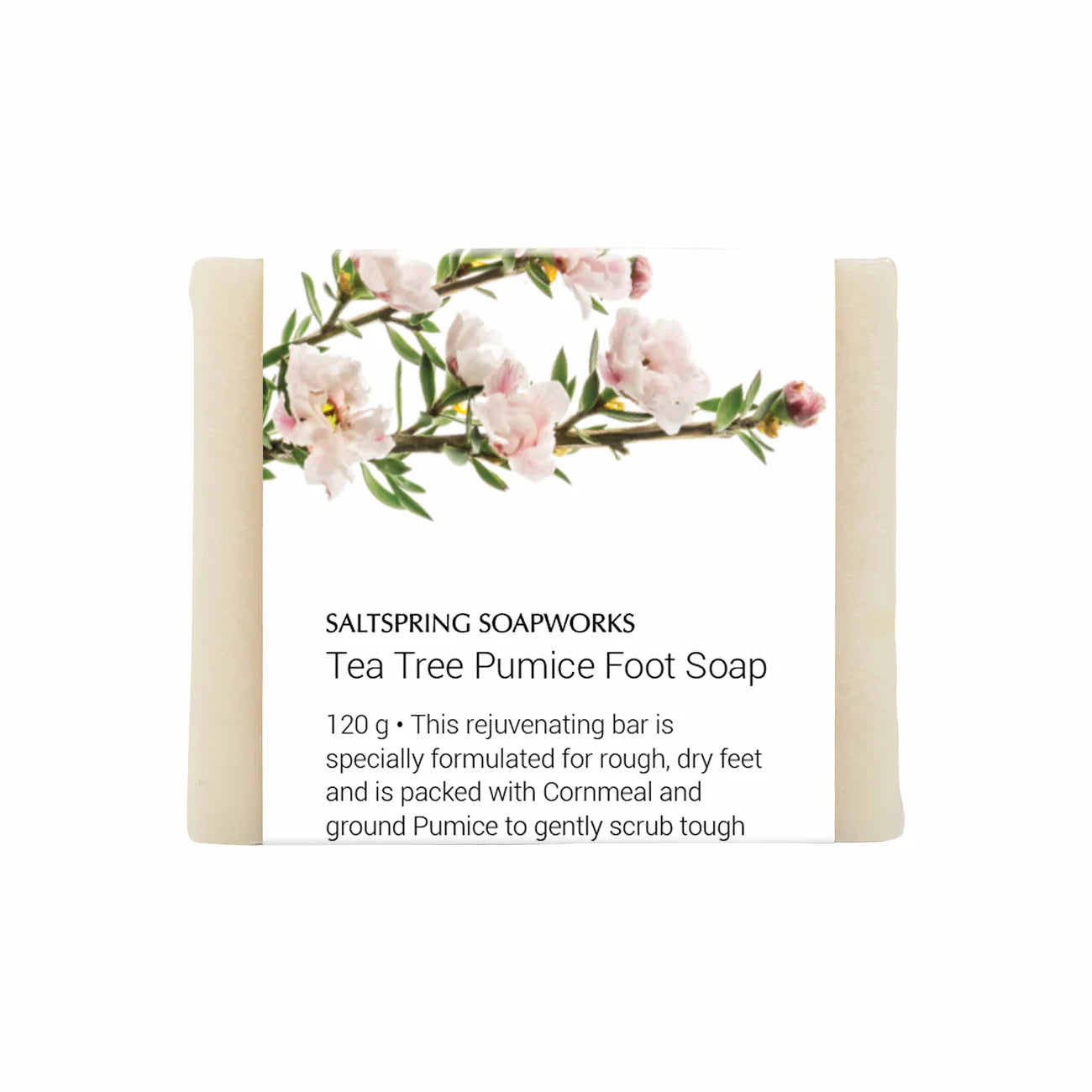 Saltspring Soapworks Foot Soap Bar - TEA TREE PUMICE