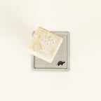 Shampoo Bar On Diatomaceous Earth Soap Dish