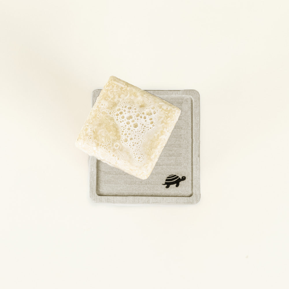 Shampoo Bar On Diatomaceous Earth Soap Dish