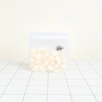 Garlic inside small Silicone Zip Sealer.